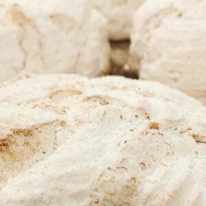 240465702_565190671508712_3842876472695913570_n